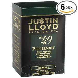 Lloyd Peppermint Herb Tea, 20 Count Grocery & Gourmet Food