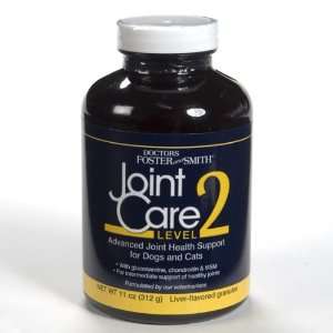  Joint Care 2 with MSM 11 oz Granules