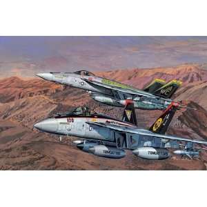  F/A 18E Super Hornet VFA31 Tomcatters & VFA105 Gunslingers 