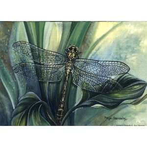  Dragonfly II by Kym Garraway 7x5