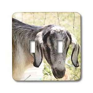   Farm Goat  Animals  Nature   Light Switch Covers   double toggle