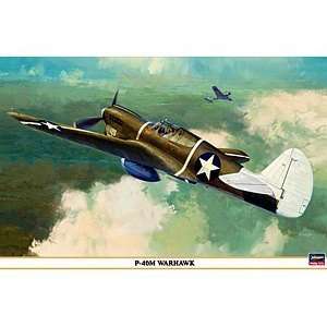  08199 1/32 P 40M Warhawk Ltd Ed Toys & Games