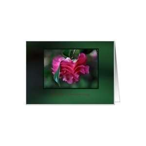  Happy Anniversary   Pink Camellias Flower Card Health 