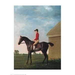   Newmark   Artist George Stubbs   Poster Size 25 X 33 inches Home