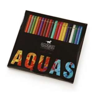  Palomino AQUAS Aquarelle Pencils   24 Count Arts, Crafts 