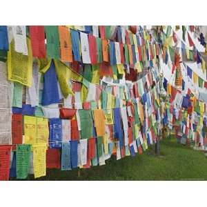  Buddhist Prayer Flags, Mcleod Ganj, Dharamsala, Himachal 