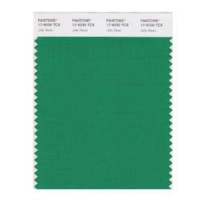   PANTONE SMART 17 6030X Color Swatch Card, Jelly Bean