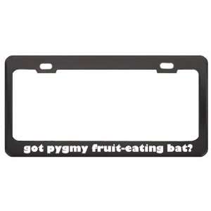Got Pygmy Fruit Eating Bat? Animals Pets Black Metal License Plate 