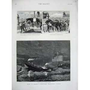  1881 Military Transport Ship Madeira Funchai Horses
