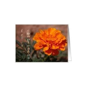  Spanish Marigold Flower Birthday Card Health & Personal 