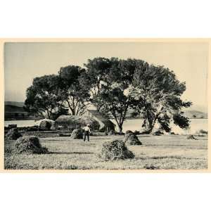  1887 Lake Elsinore California Herve Friend Photogravure 