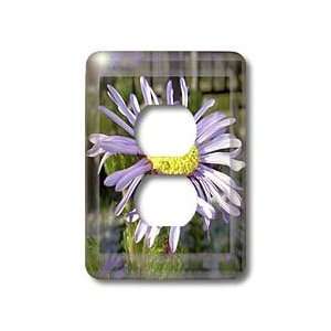   flower, flowers, ice plant, marigold   Light Switch Covers   2 plug