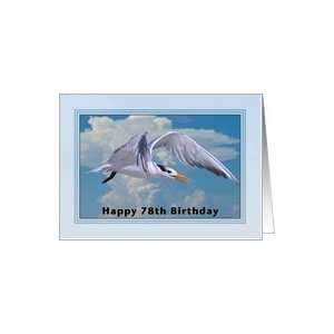  Happy Birthday, 78th, Royal Tern Bird Card Toys & Games