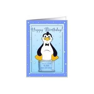   17th Birthday   Penguin on Ice Cool Birthday Facts Card Toys & Games