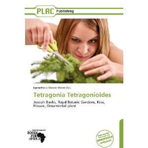   Tetragonioides (9786136251233) Epimetheus Christer Hiram Books