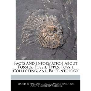  Facts and Information About Fossils, Fossil Types, Fossil 