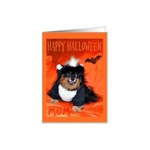  Halloween For Mom, Pomeranian in skunk costume with bat 