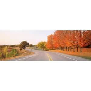  Tress along a Two Lane Highway by Panoramic Images , 24x72 