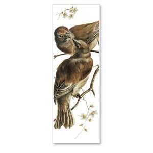  Kissing Birds   Double sided Bookmark