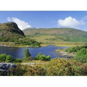 , Between Upper Lake and Muckross Lake, Killarney, Munster, Republic 