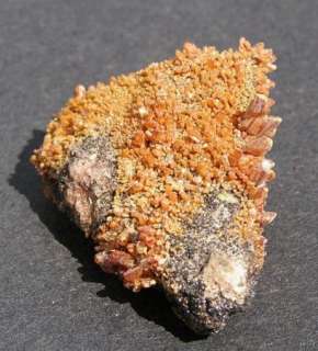 VANADINITE   MAMMOTH ST. ANTHONY MINE, ARIZONA 12893  