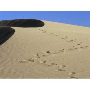  Footprints in Sand, Maspalomas Beach, Gran Canaria, Canary 
