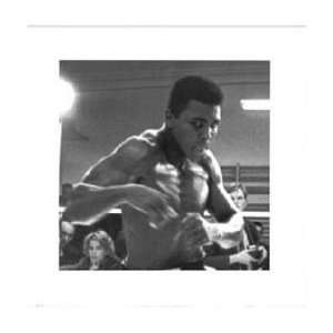  (16x16) Muhammad Ali (Warming Up) Sports Poster Print 