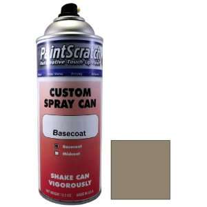  12.5 Oz. Spray Can of Light Gray (Interior) Touch Up Paint 
