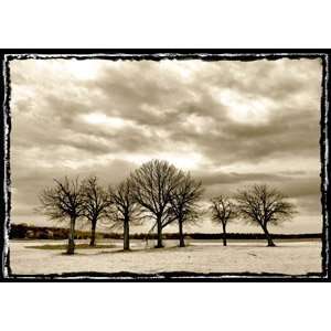 Landscape with Trees 394 Gallery quality Original Photography Giclee 