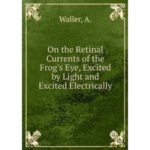  On the Retinal Currents of the Frogs Eye, Excited by 