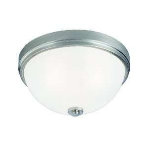  6664500 Westinghouse lighting