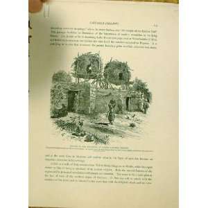  Bowers Housetops Banias, Niches To Pan Old Print 1883 