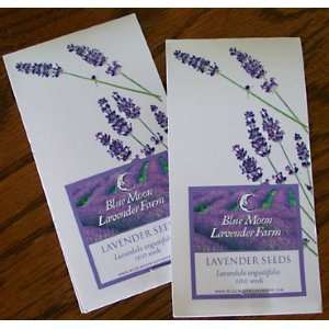  English Lavender, Lavandula angustifolia Patio, Lawn 