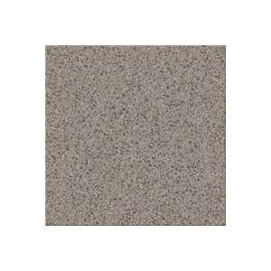Mohawk Industries 9826505 Taupeland Horizon Medici Pebble Trace Carpet 