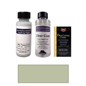 2 Oz. Champagne Silver Pearl Paint Bottle Kit for 2001 