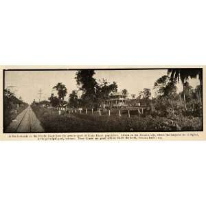  1918 Print Costa Rica Limon Banana Railway Trees Port 