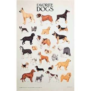  Favorite Dog Breeds Poster   For Dog Lovers. Educational 