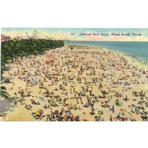  1950s Vintage Postcard Lummus Park Beach   Miami Beach 