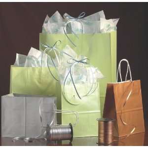  Gloss Shopping Bag 