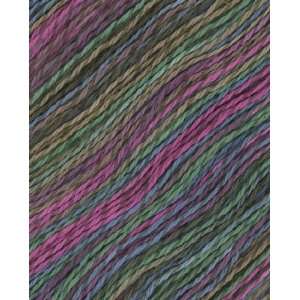  Berroco Linsey Colors Yarn 6511 Lamberts Cove Arts 