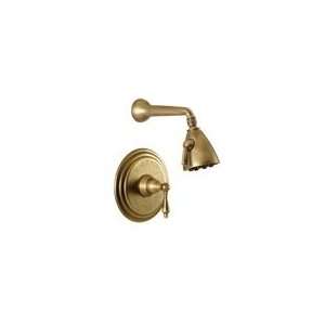   Metal Lever Handle less Valve and Showerhead 4 854BP