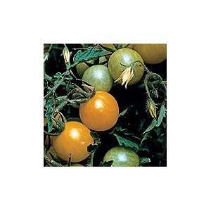    Organic Gold Currant Cherry Tomato   50 Seeds Patio, Lawn & Garden