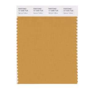  PANTONE SMART 17 1040X Color Swatch Card, Spruce Yellow 