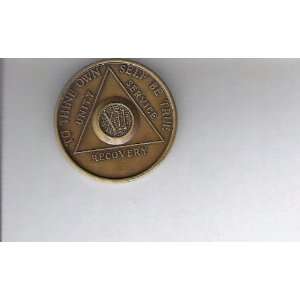   Anonymous AA 12 Year Chip Token Medal Medallion 
