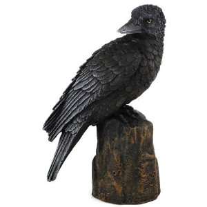  Backward Looking Raven Statue