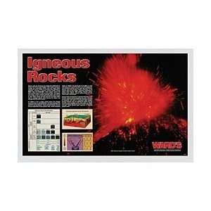 WARDS Igneous Rocks Poster  Industrial & Scientific