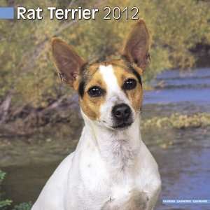  Rat Terrier 2012 Wall Calendar 12 X 12