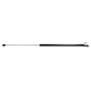  Strong Arm 4916 Tailgate Lift Support Automotive