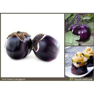  Nature Seeds Round Purple Eggplant / Brinjal F1 Hybrid 40 