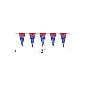  Chicago Cubs Pennant String (3 foot)